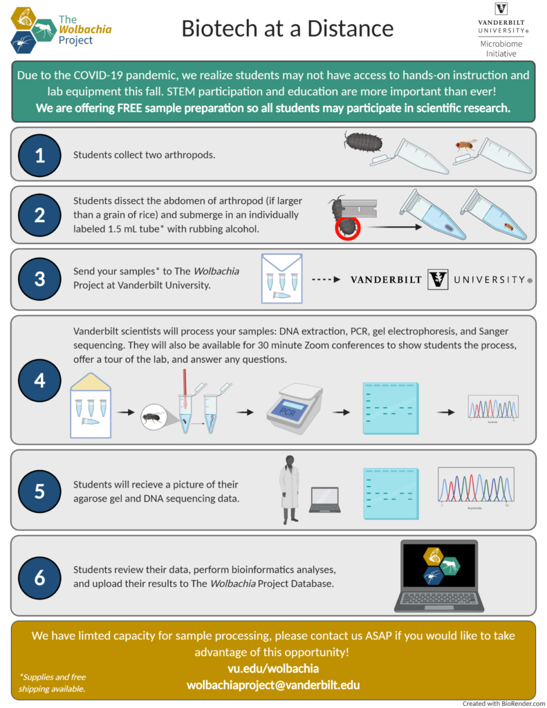 The Wolbachia Project – DMW The Wolbachia Project database