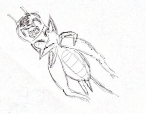 View of insect front.